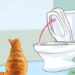 toilet-train-your-cat-with-litter-kwitter